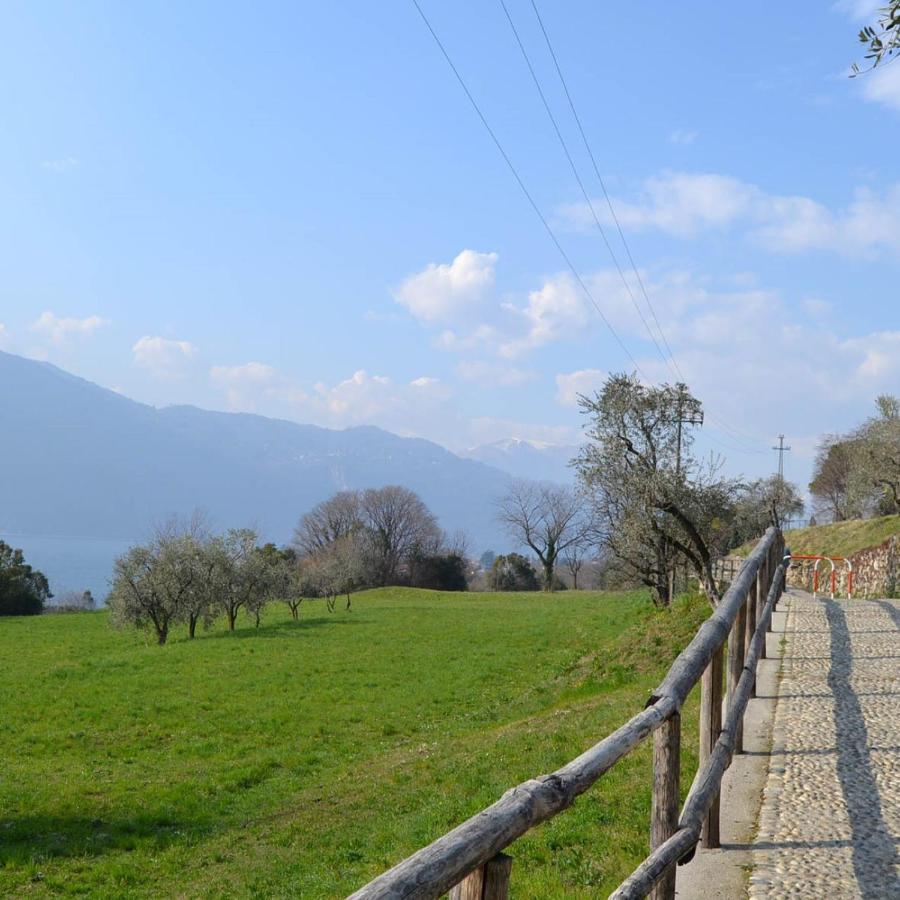 La Cascina Della Vigna Del Viandante Villa Abbadia Lariana Eksteriør billede