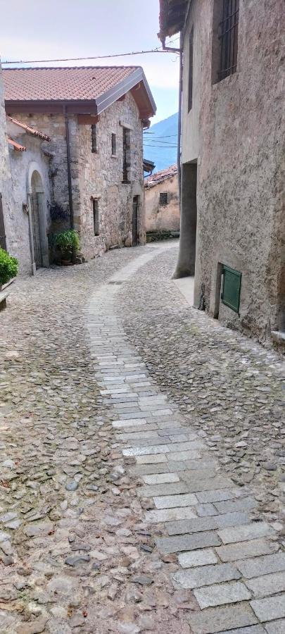 La Cascina Della Vigna Del Viandante Villa Abbadia Lariana Eksteriør billede